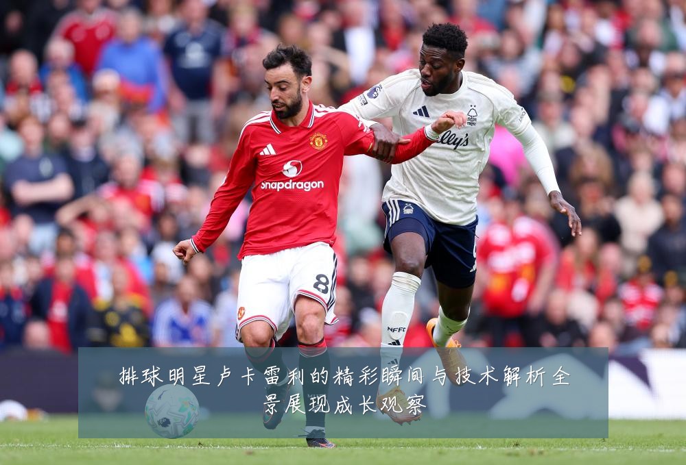 排球明星卢卡雷利的精彩瞬间与技术解析全景展现成长观察
