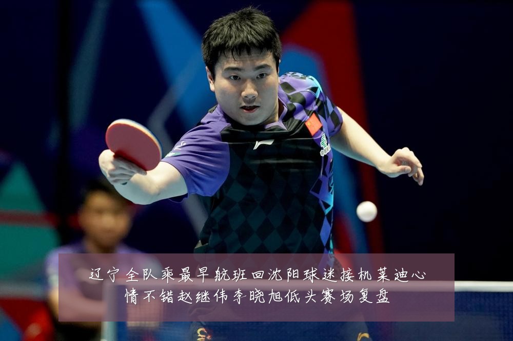 辽宁全队乘最早航班回沈阳球迷接机莱迪心情不错赵继伟李晓旭低头赛场复盘